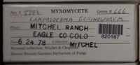 Image Associated With the Occurence